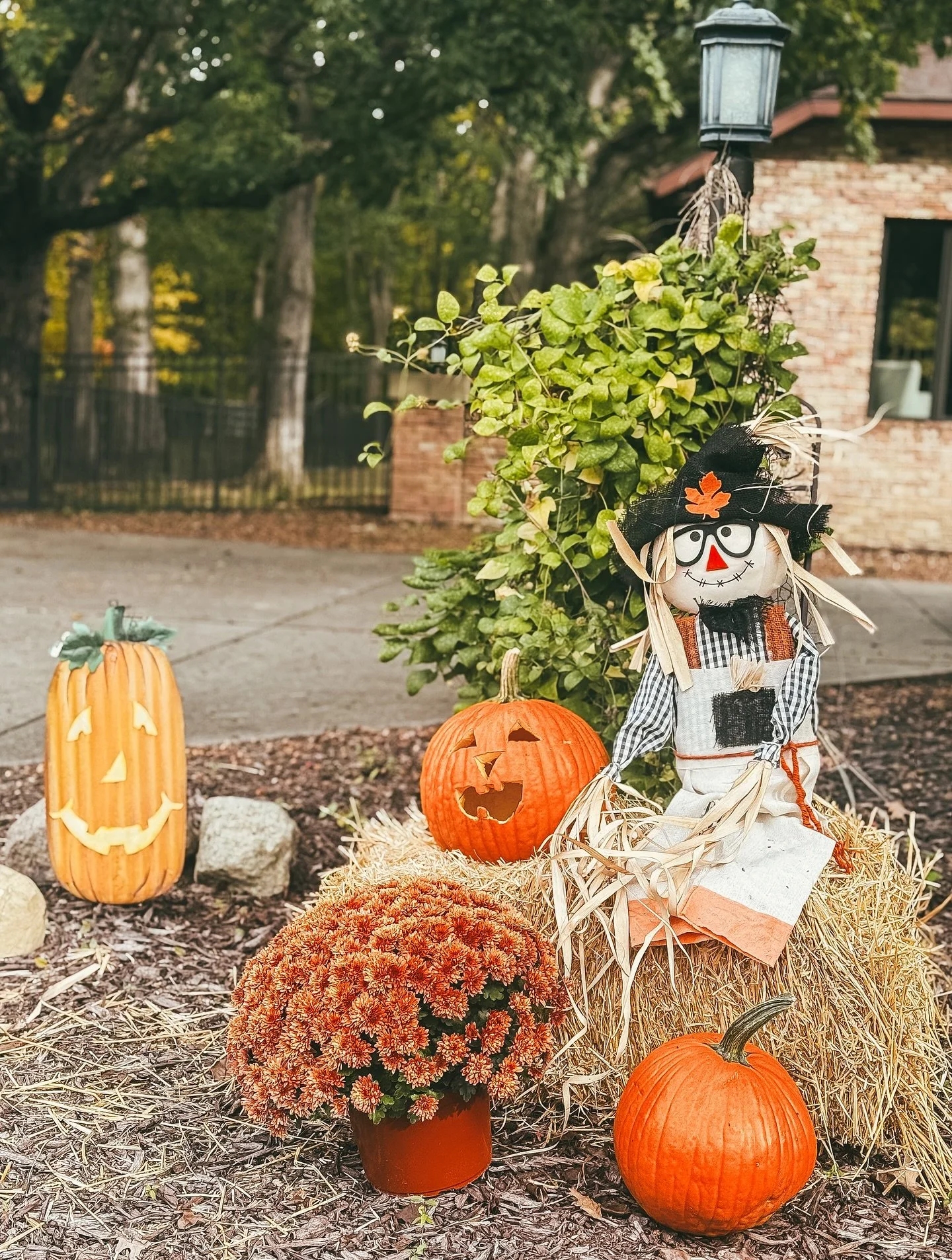 Finally starting to get some cozy fall temps this week! Looking forward to finally wearing my sweaters lol