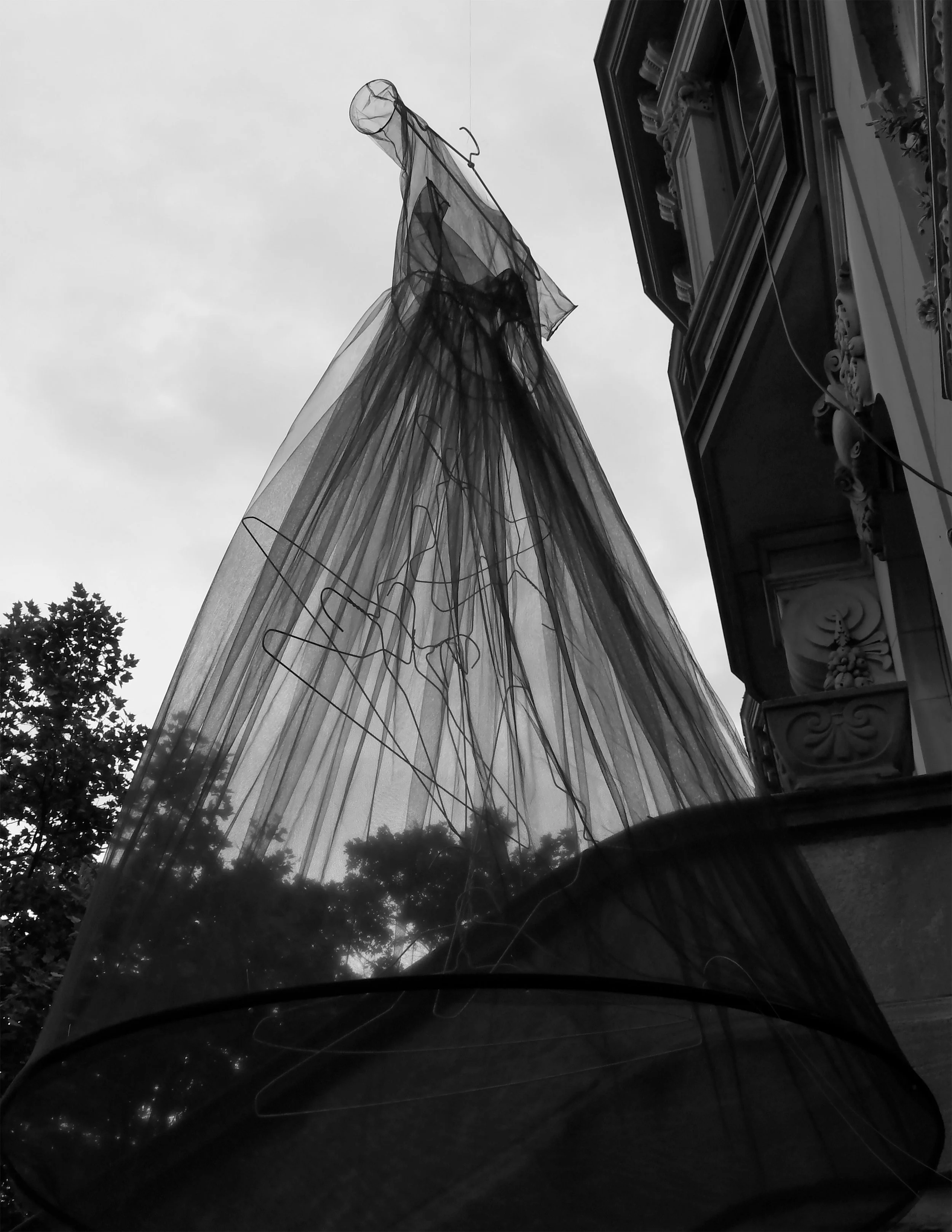 supreme court - no caps                       