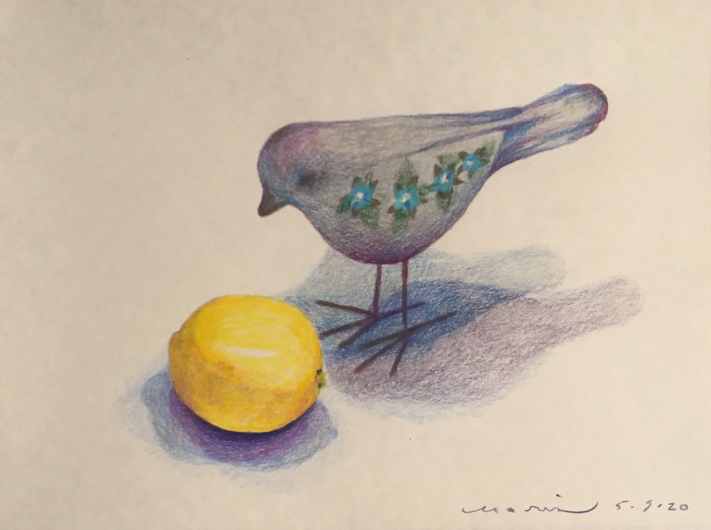 Daniel's bird_lemon_2020.jpeg