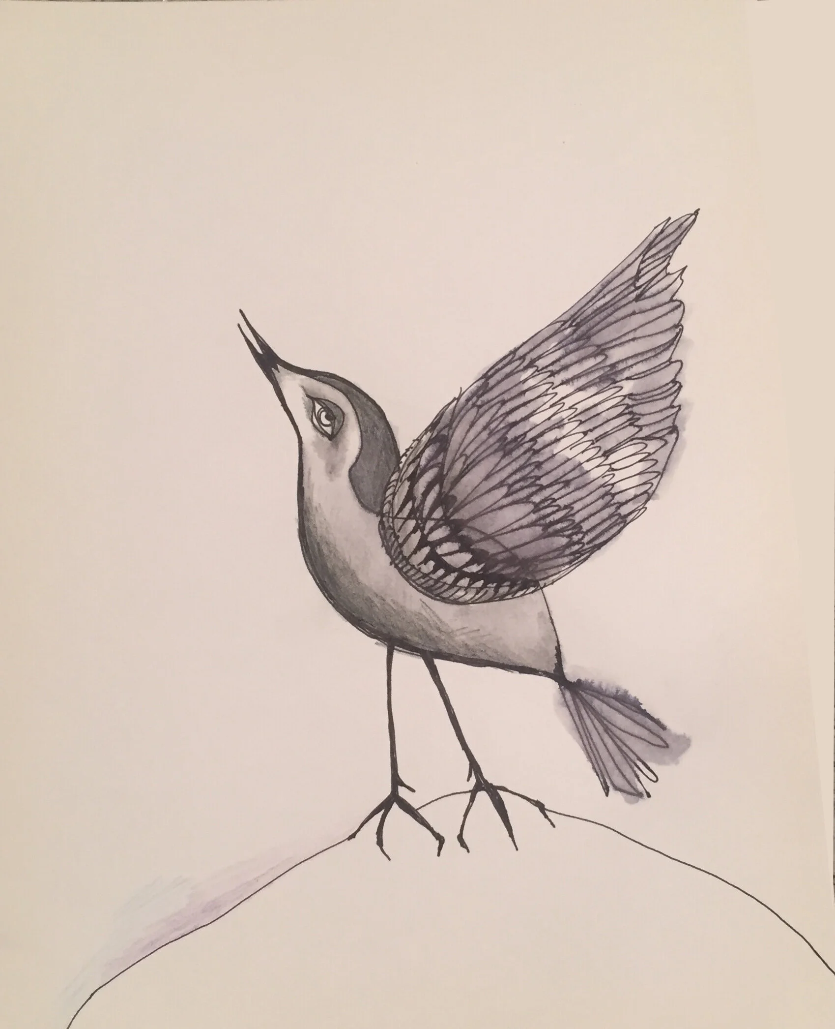BW bird on a hill.jpg