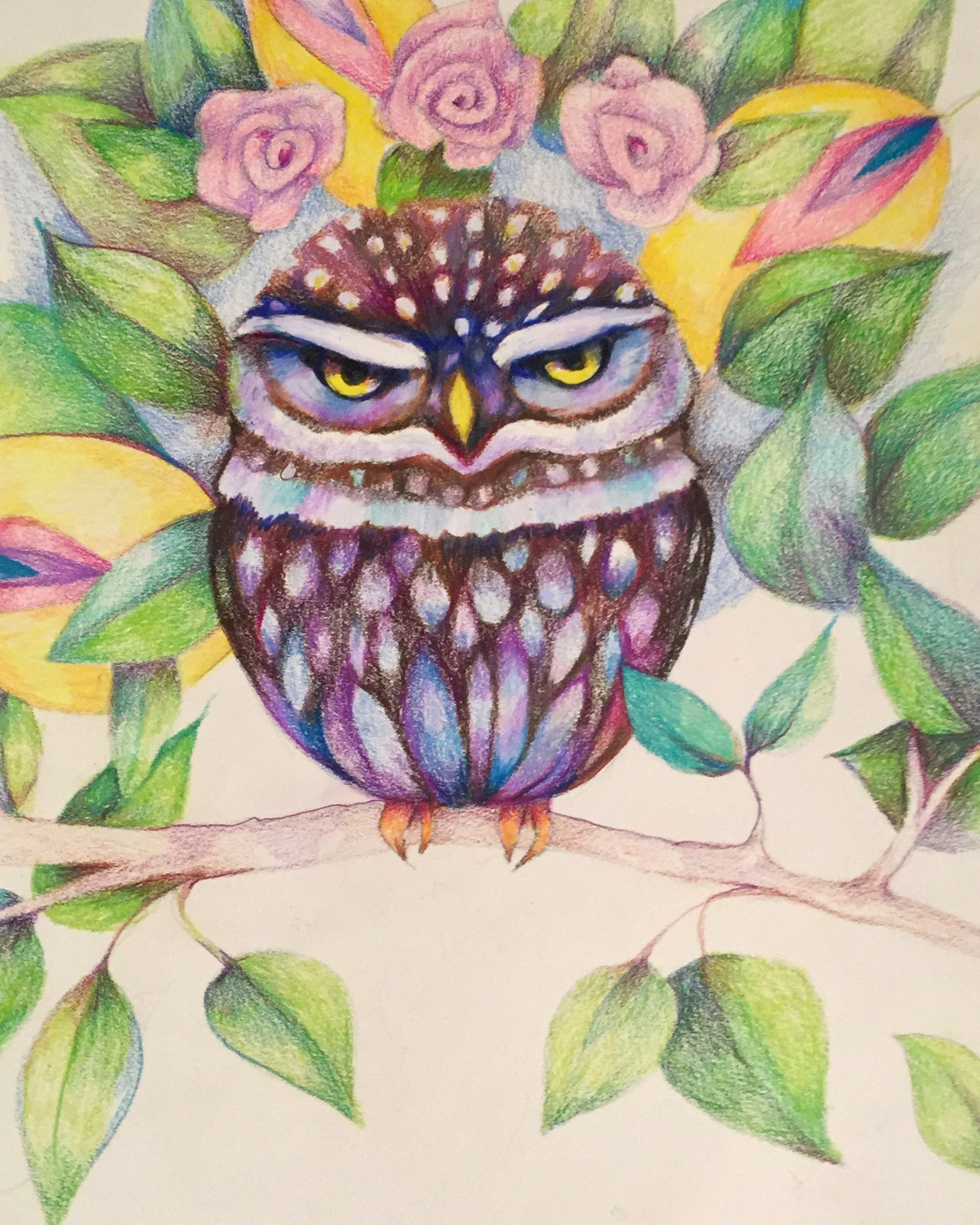 Owl_utililit_boxA.jpg
