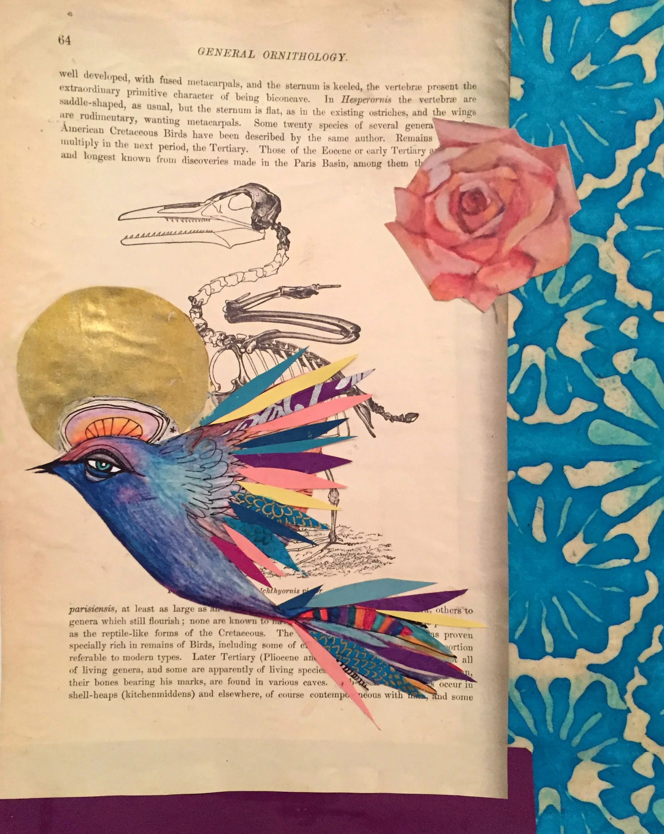 Spirit bird_book1.jpg
