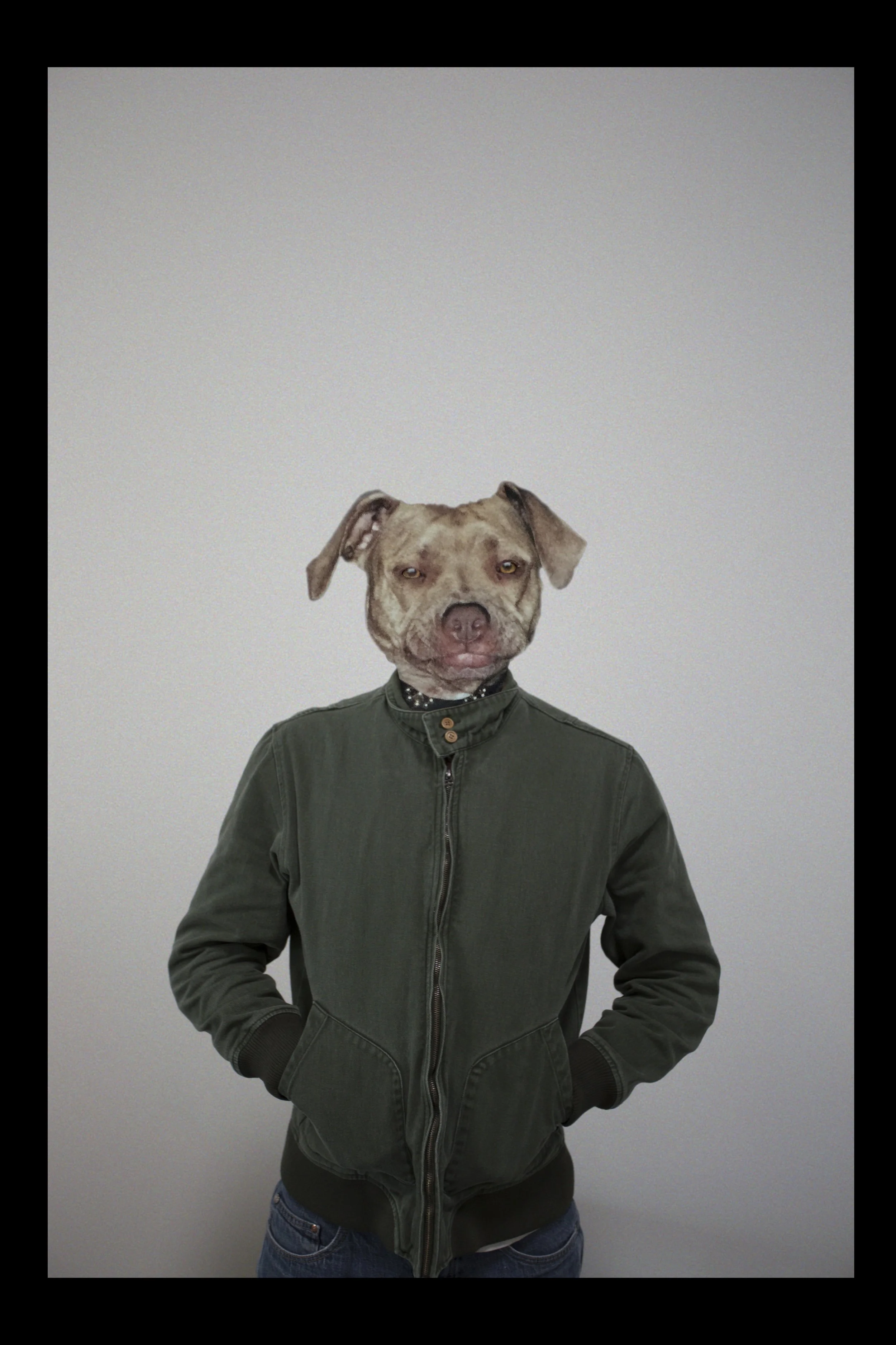 dogHead_comp_output_v01.jpg