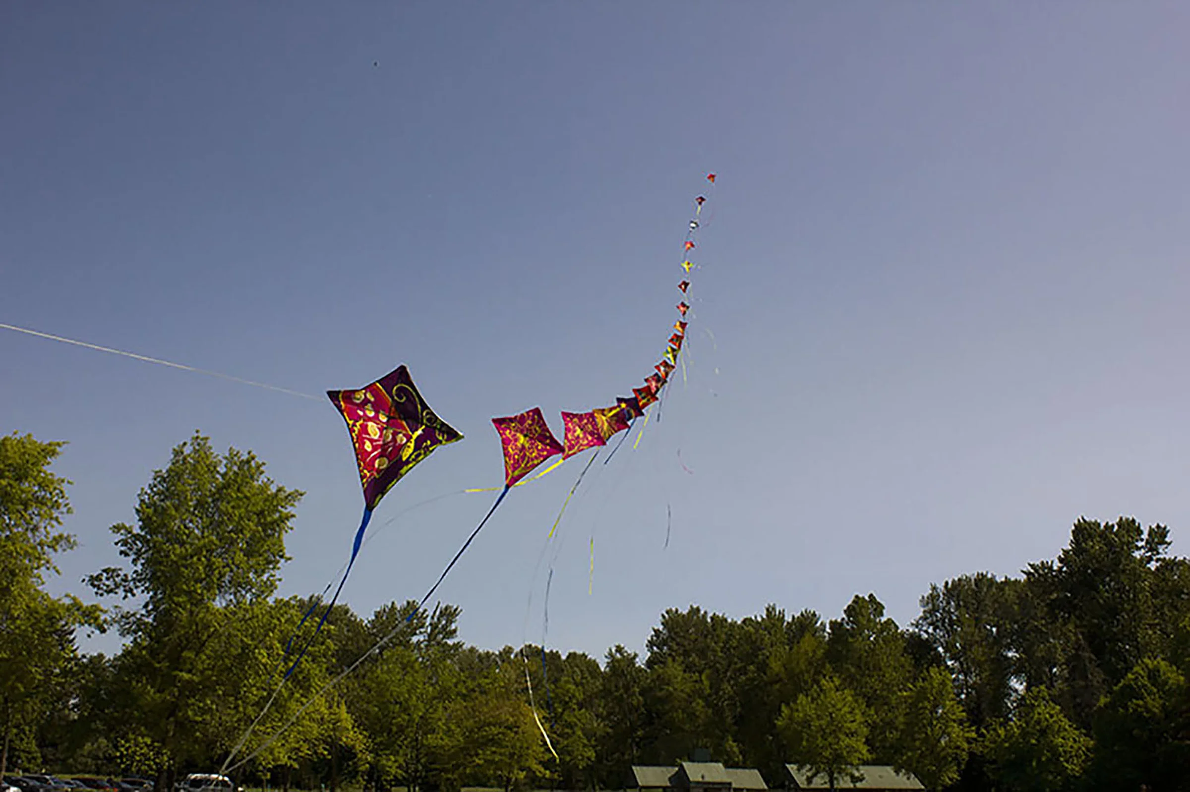  Kites are flown at Alton Baker Park by Rod Thrall, who has been flying kites for 107 days in a row.&nbsp; 