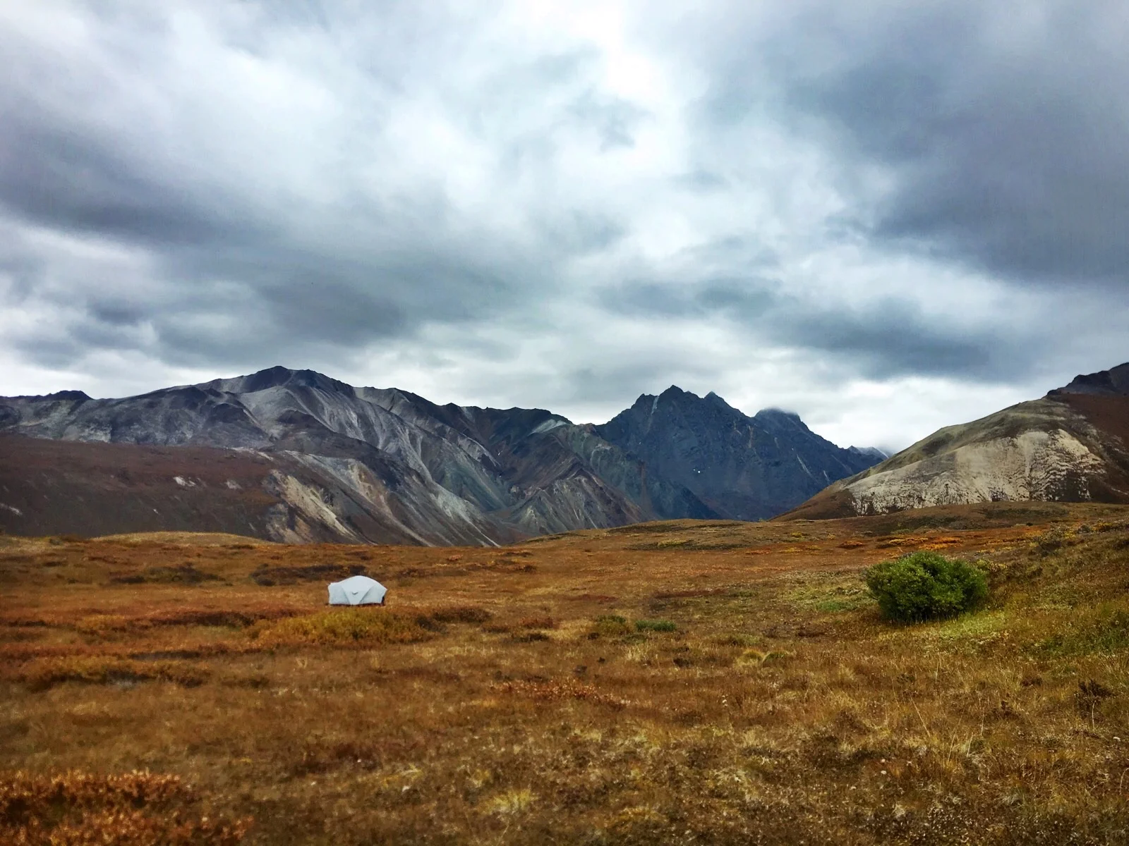  A tent pitched east of the Polychrome Glacier in Denali National Park.&nbsp; 