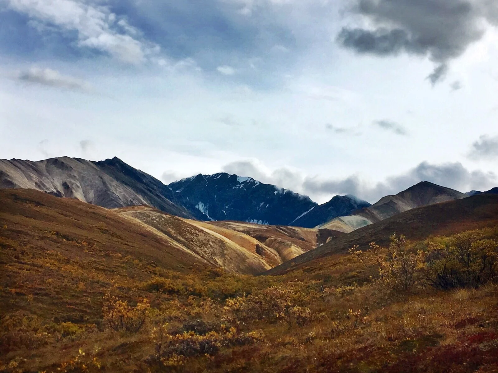  The middle, most prominent Polychrome Glacier in Denali National Park, Alaska.&nbsp; 