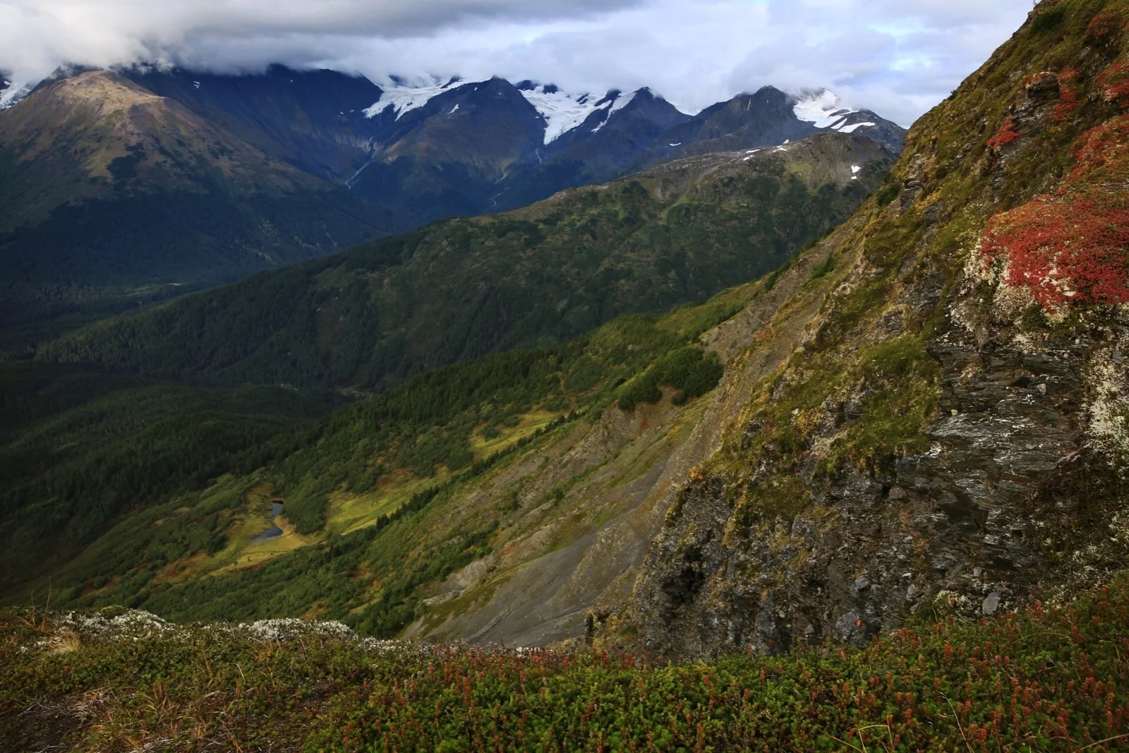  A view from the tram at Alyeska Resort near Girdwood, Alaska. In the background are glaciers from the Chugach National Forest.&nbsp; 