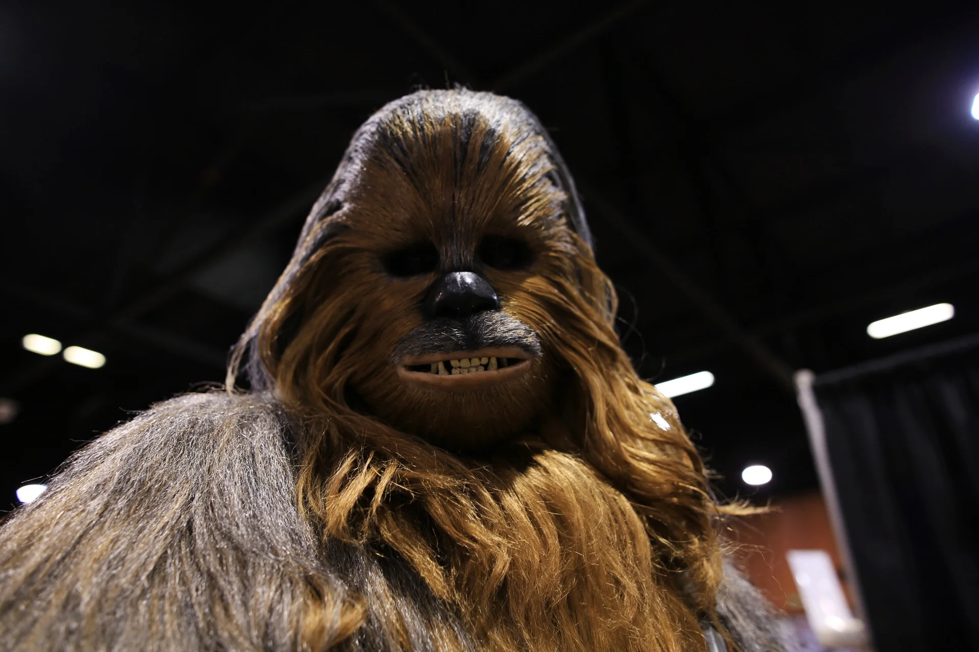  Many characters make appearances at the comic con, a popular one being Chewbacca. 