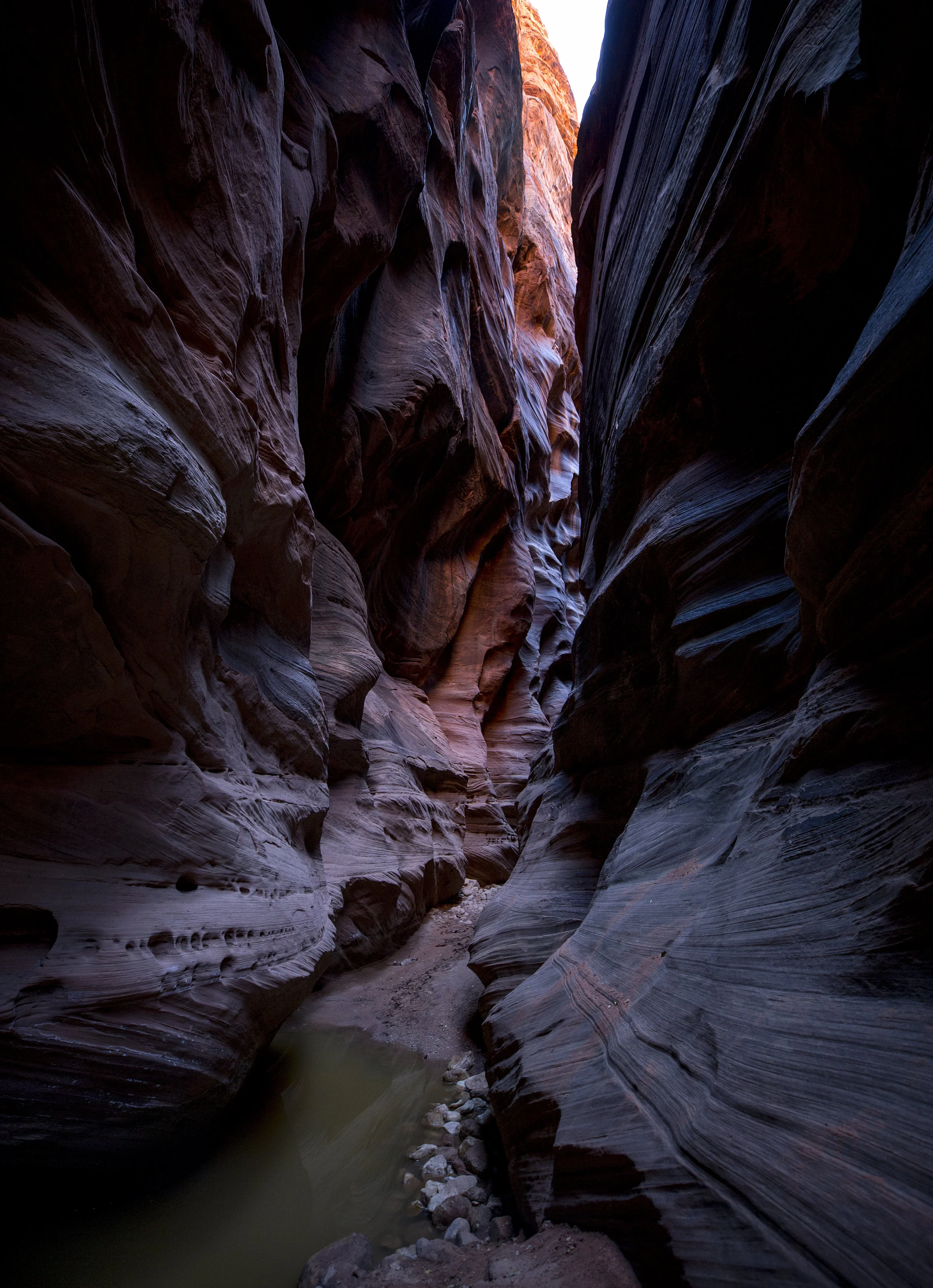  Buckskin Gulch - Paria Canyon, Arizona. 