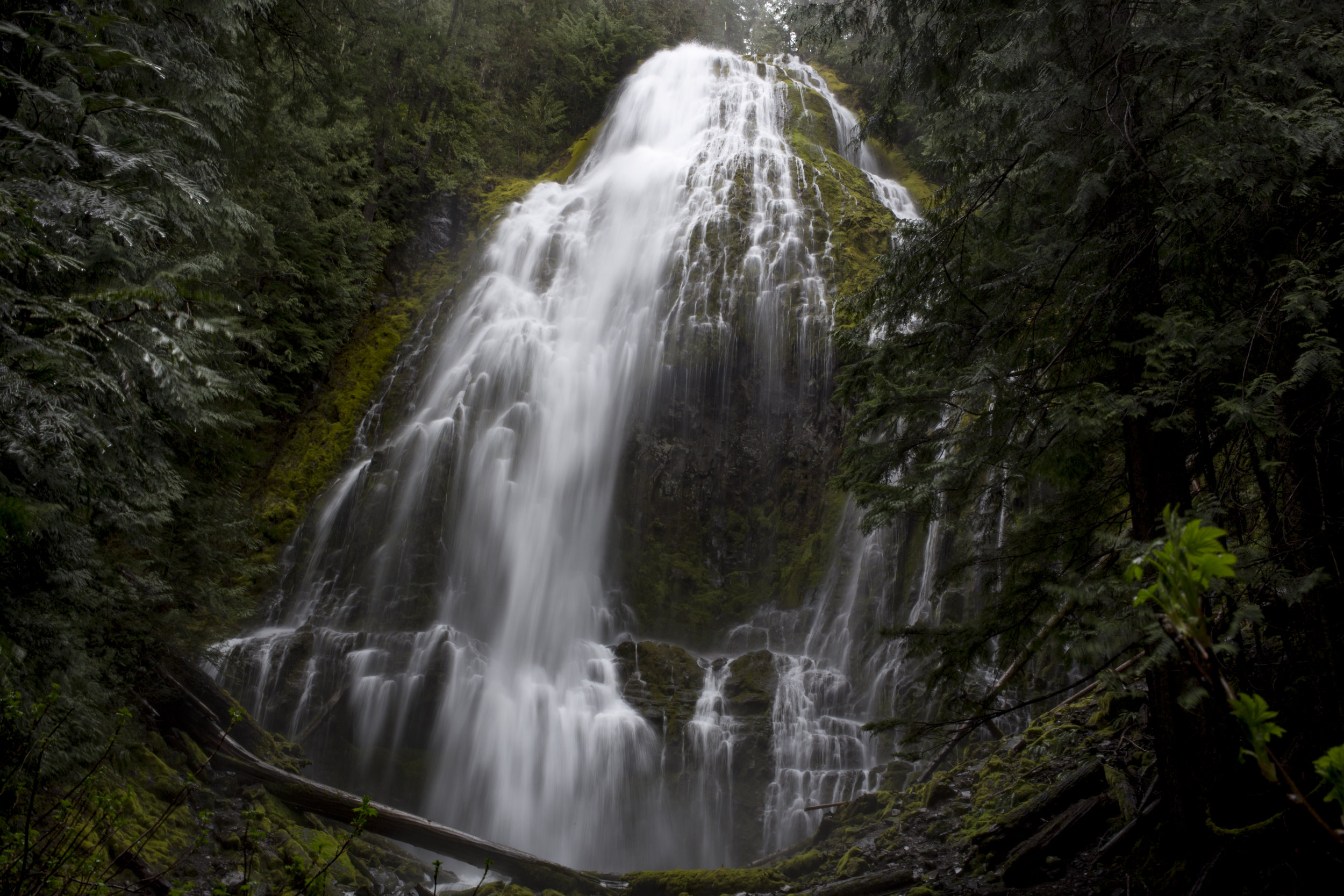  Proxy Falls, Oregon. 