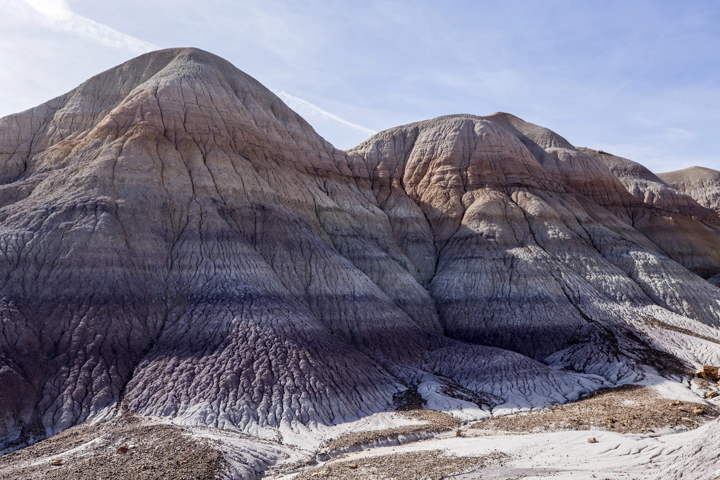  Petrified Forest National Park, New Mexico.  