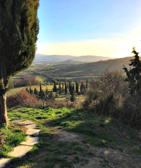 The View