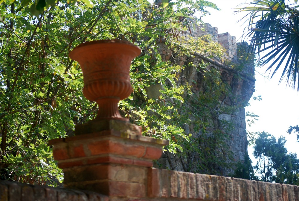 DSC_0012.jpg