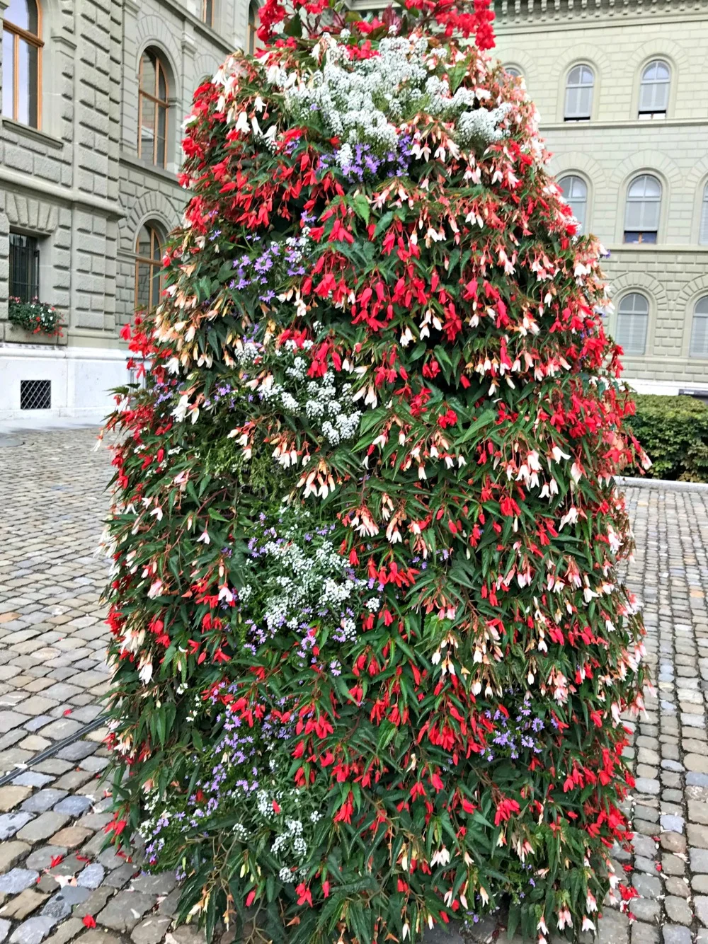IMG_0445.jpg