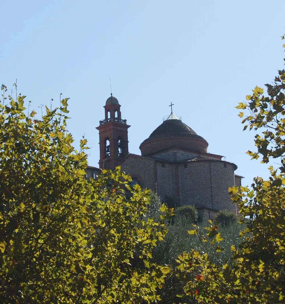 DSC_0169.jpg