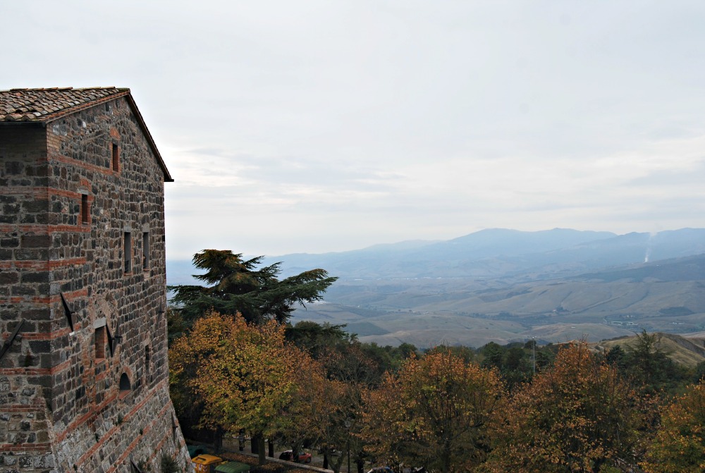DSC_0157.jpg