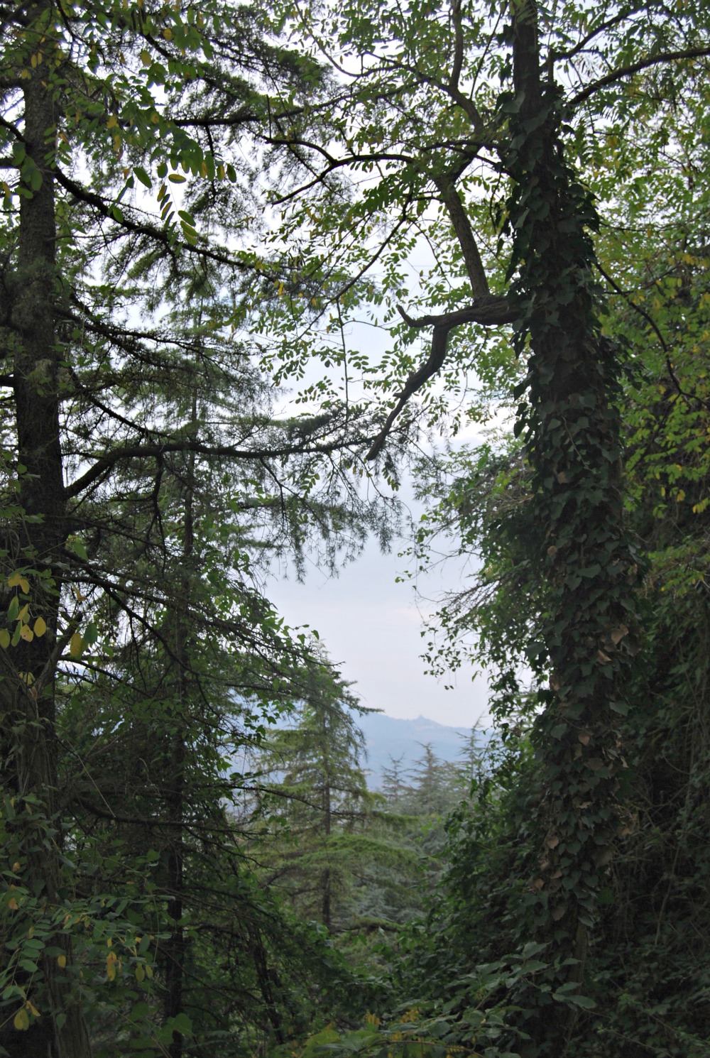 DSC_0160.jpg