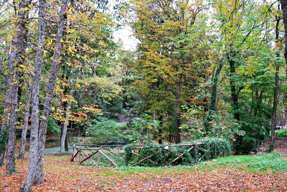 DSC_0222.jpg