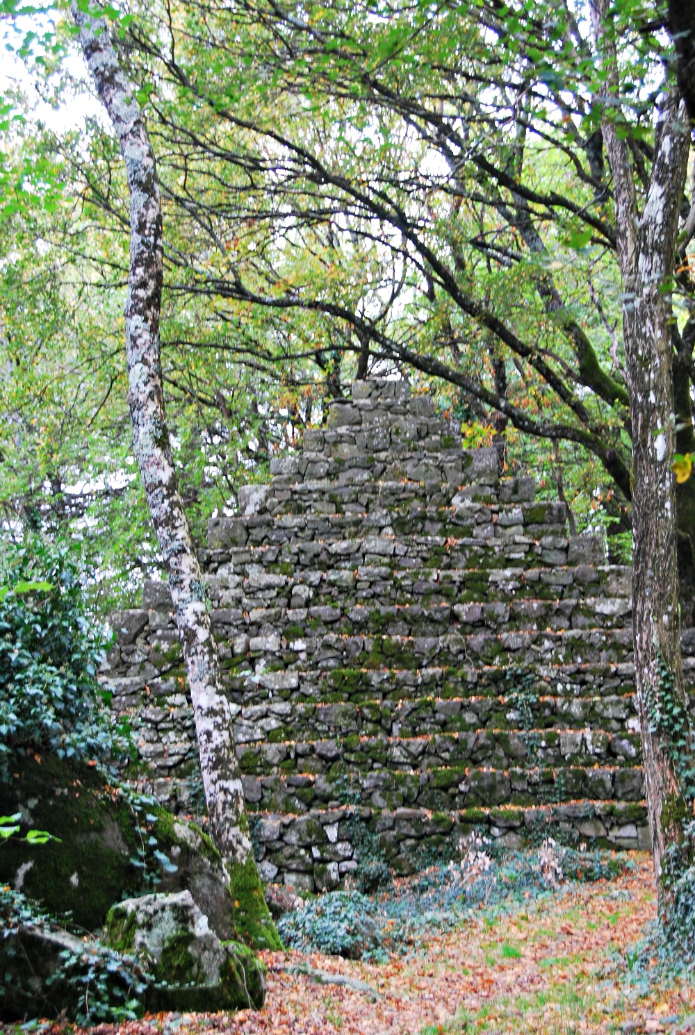 DSC_0227.jpg