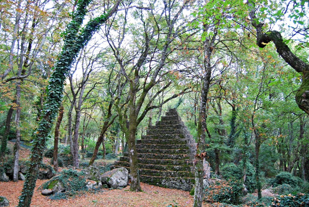 DSC_0234.jpg