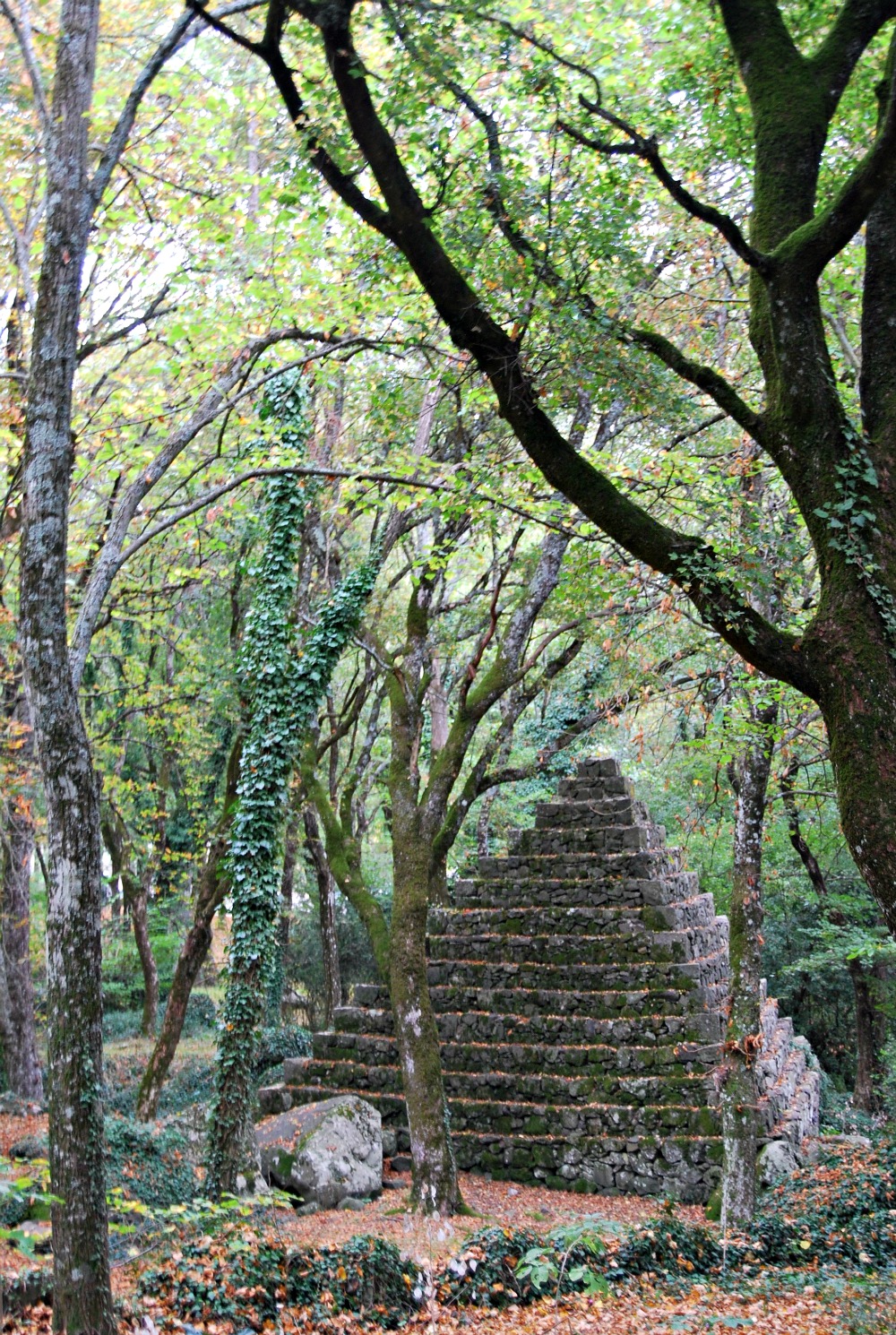 DSC_0238.jpg
