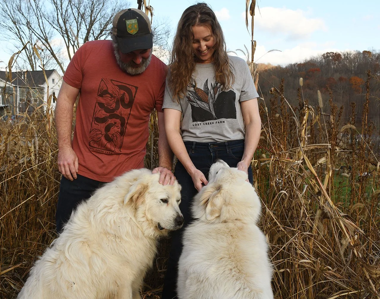 shirt with doggos.jpg