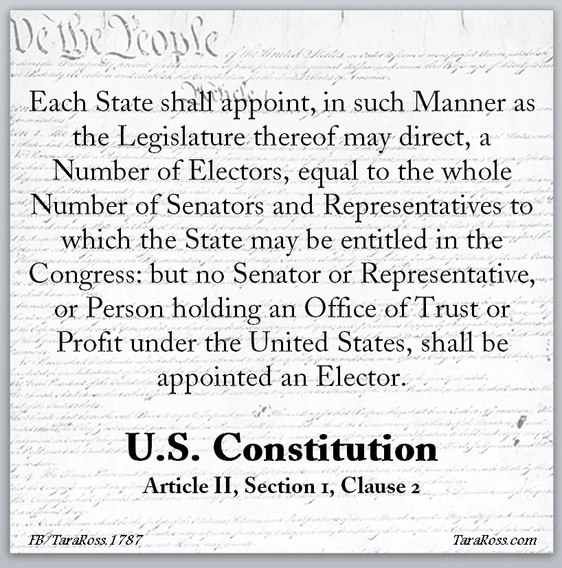 On The Electoral College Thick Skin Small Ego