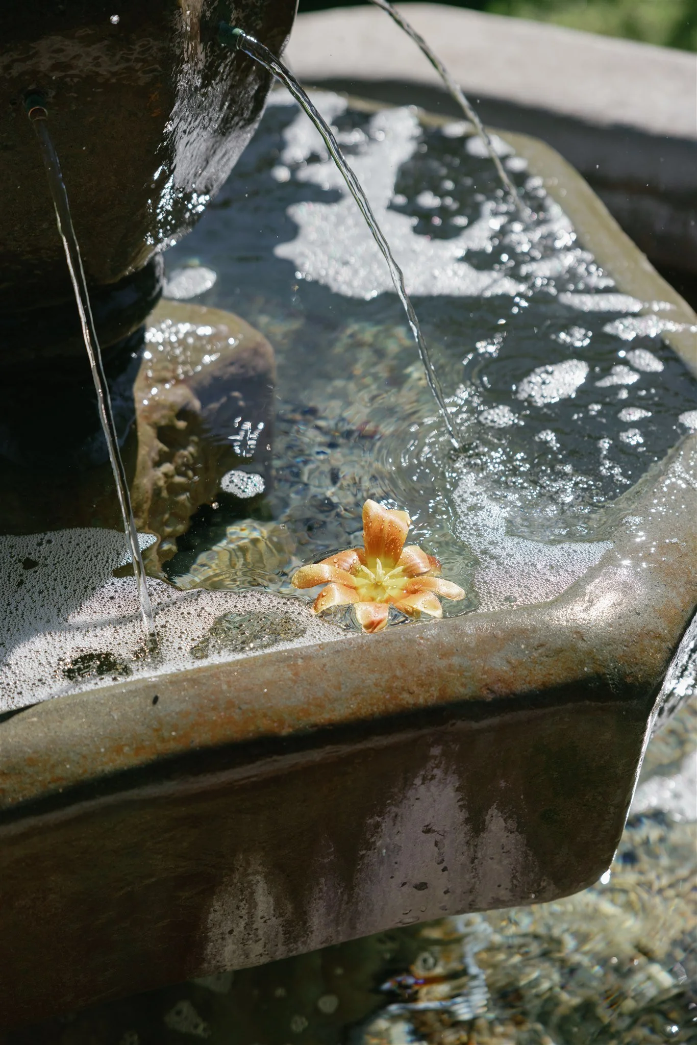 Abby & Sam - Establishing Shots-9.jpg