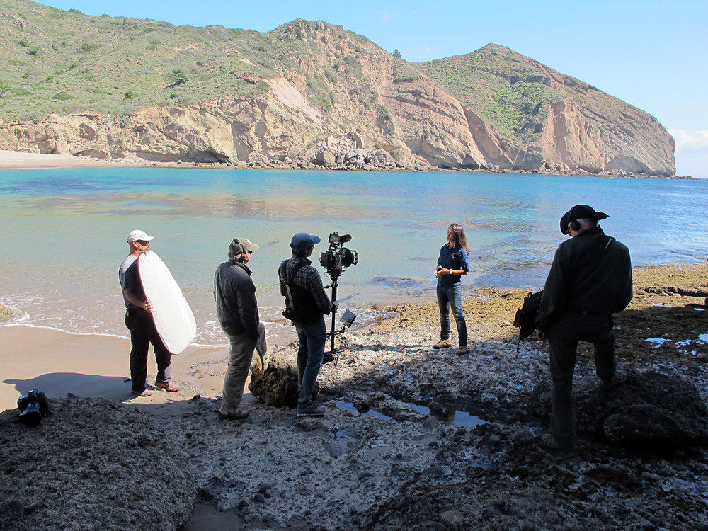 Biologist Dr. Lotus Vermeer being interviewed on Santa Cruz Island about the restoration of the Island fox and bald eagles
