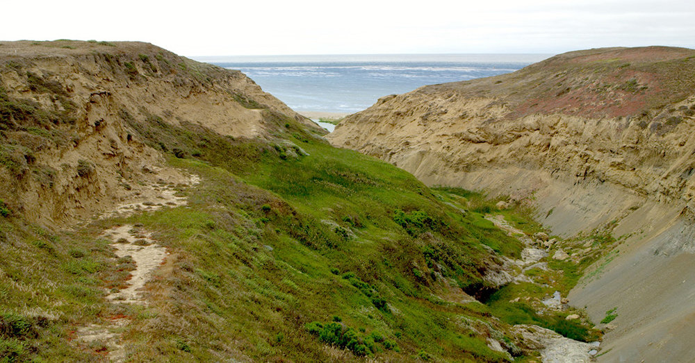 The Arlington Springs area of Santa Rosa Island, site of the oldest known human remains in North America
