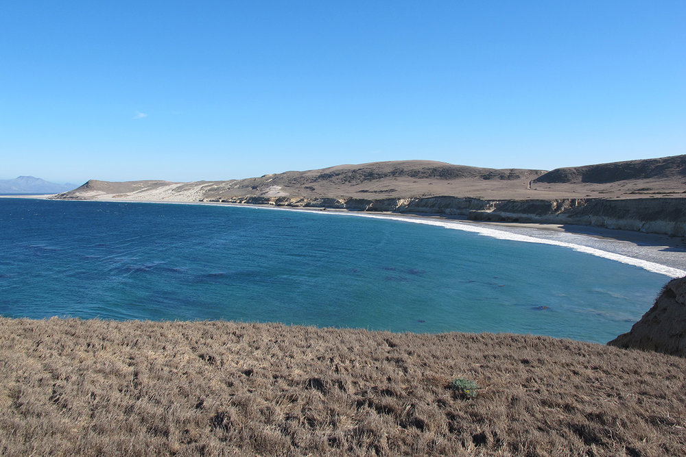 For most of the 20th Century, the Vail and Vickers cattle ranch operated on Santa Rosa Island. For thousands of years before that, these shores were home to Island Chumash villages