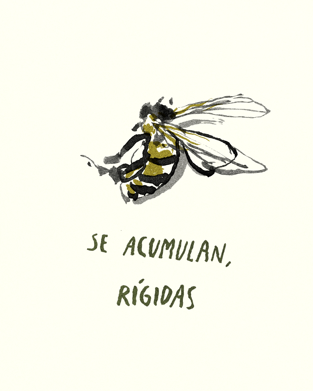 para las abejas 11.jpg