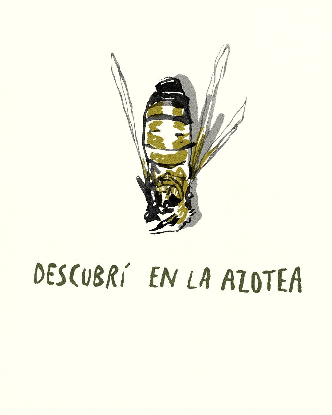 para las abejas 16.jpg