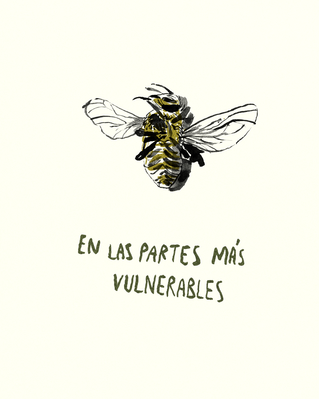 para las abejas 25.jpg