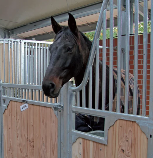 stable1.jpg