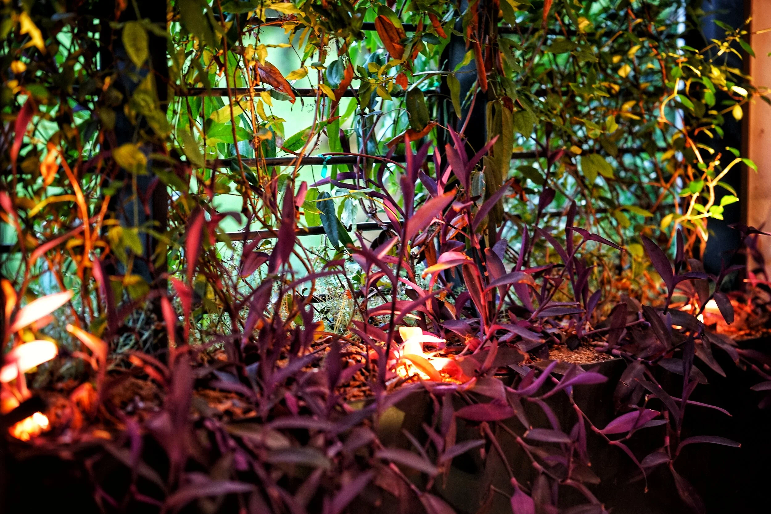 Parker_Details_DSC02631_edited (1).jpeg