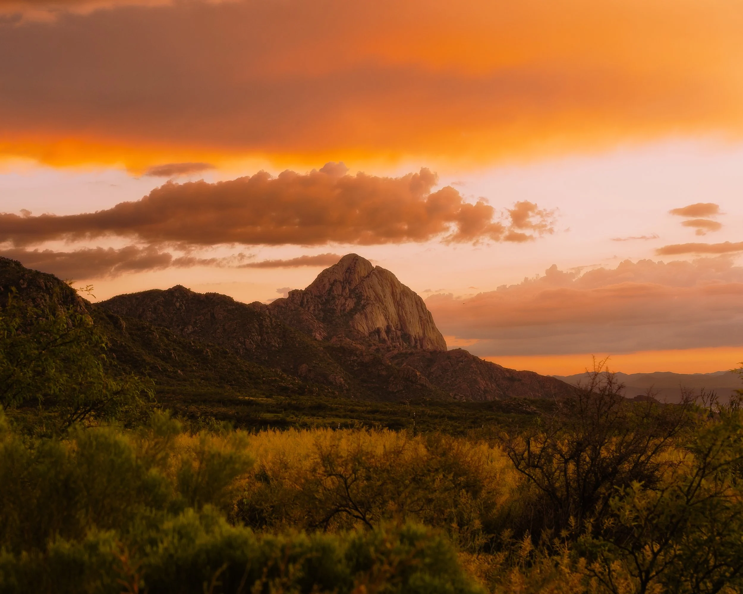 Madera Canyon.jpg