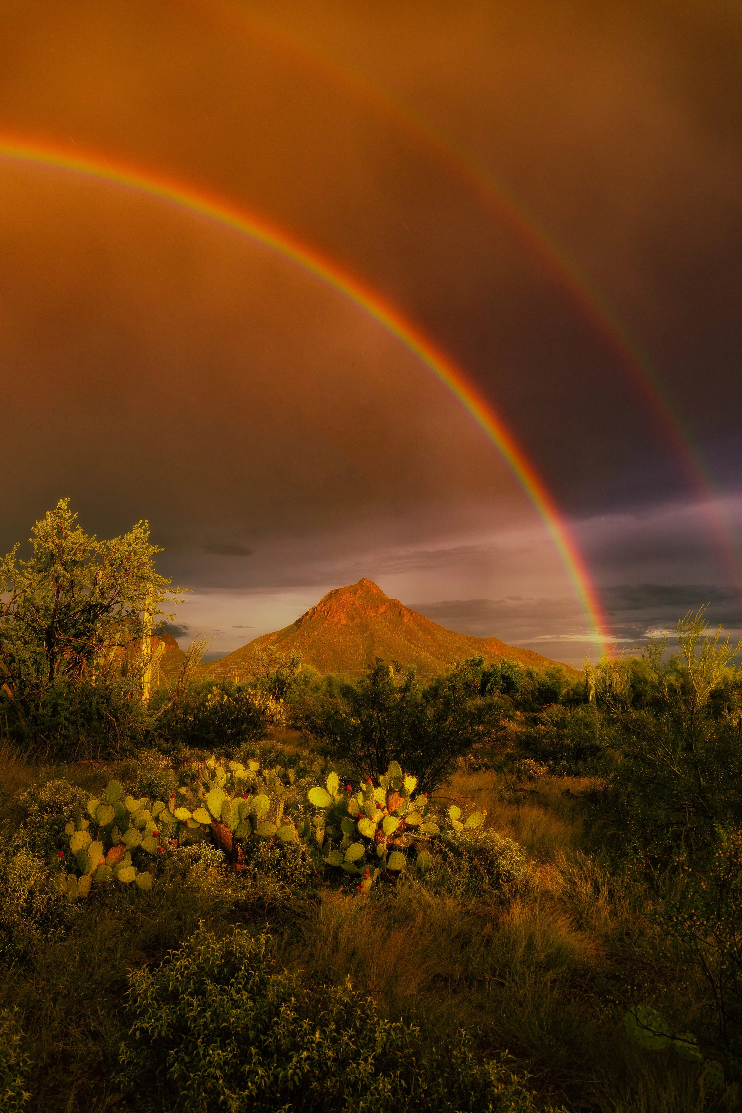 6Q6A1516-Edit.jpg