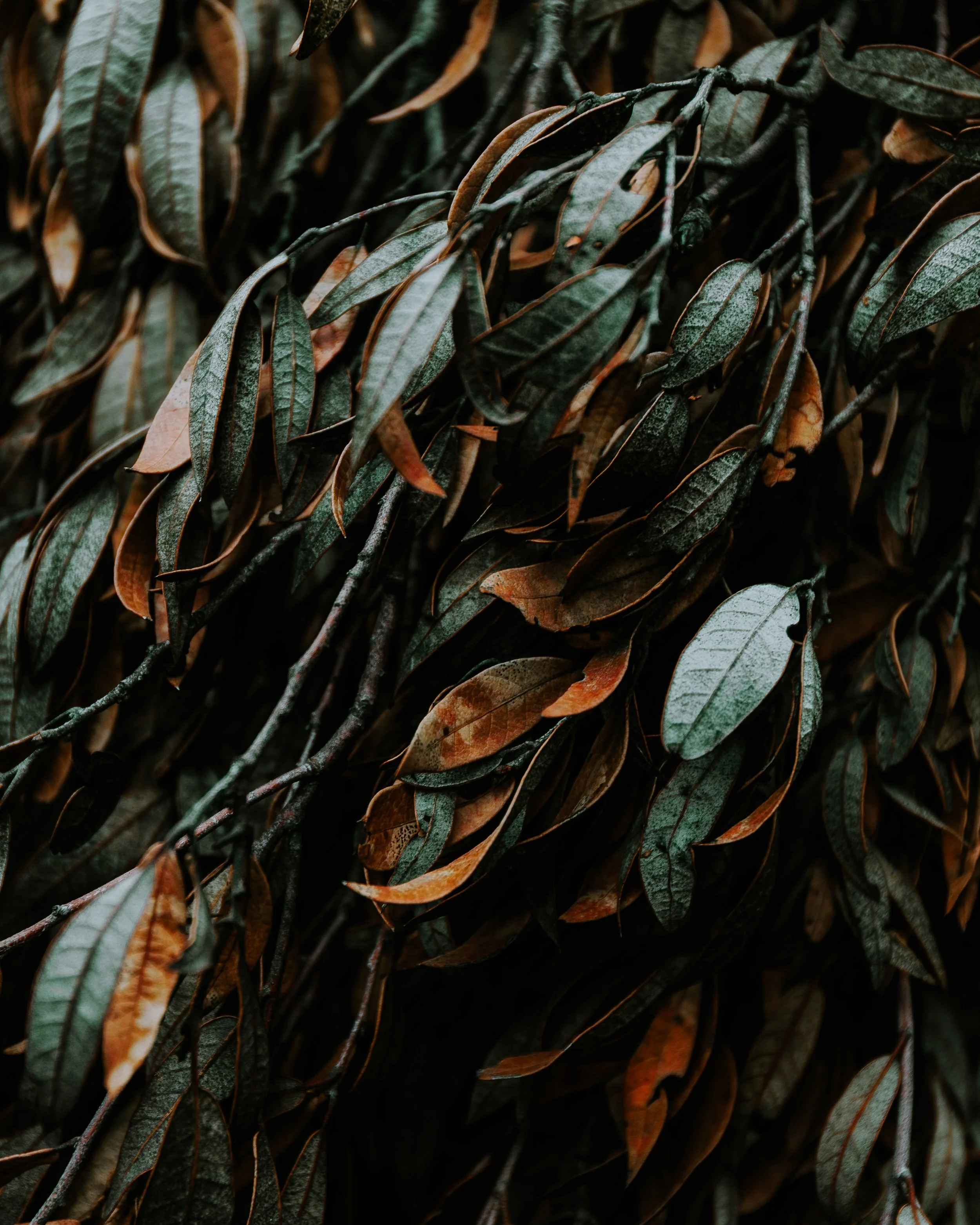 texture.jpg