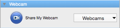 classic webcam.png