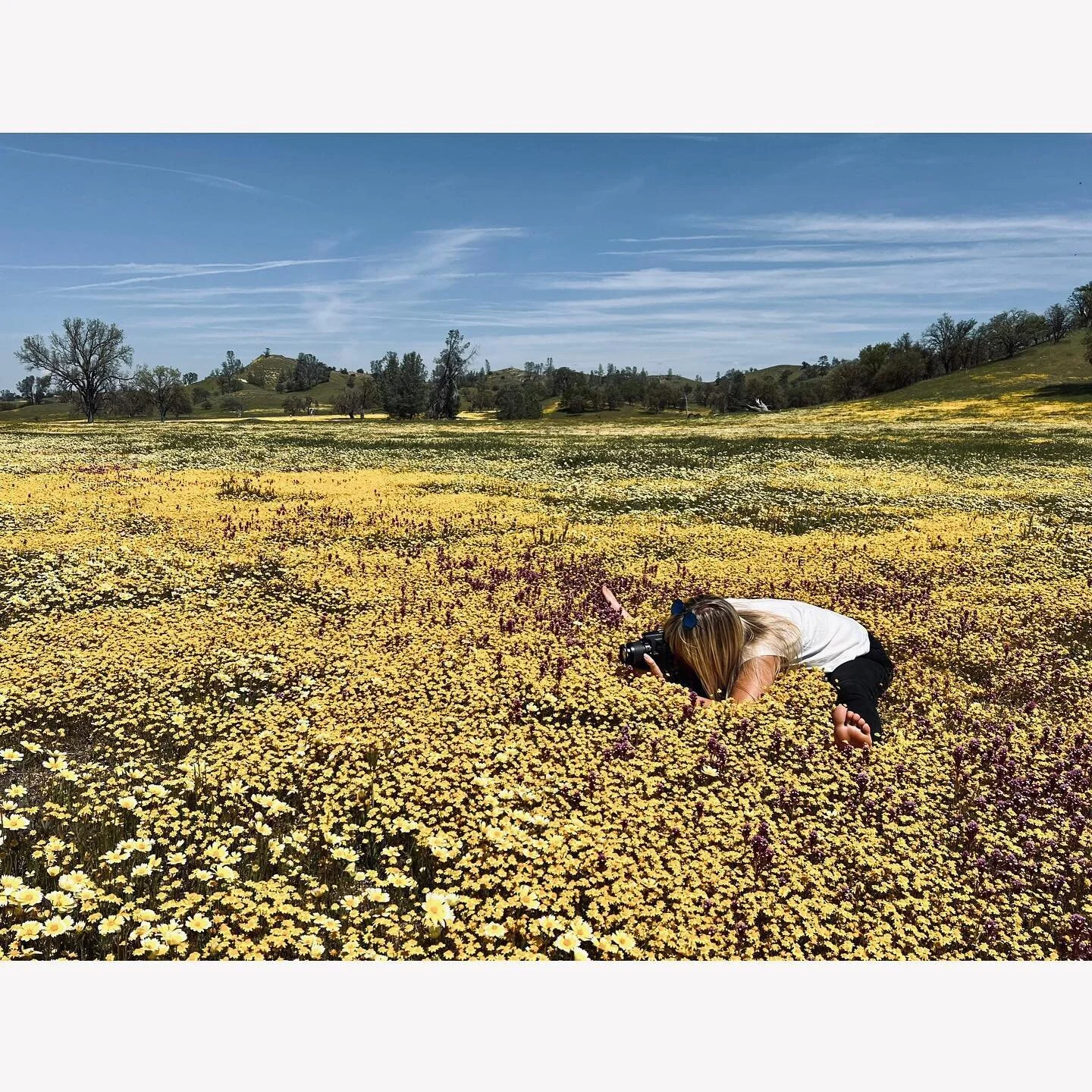 I&rsquo;m c u r i o u s.. . 
about #life , trying new things &amp; #exploring my #creative side. It can be #manual , #mental &amp; #spiritual ✨

Why not #try as much as WE can before WE can&rsquo;t do it anymore?! 

#Artist #Woman #Human #WildFlower 