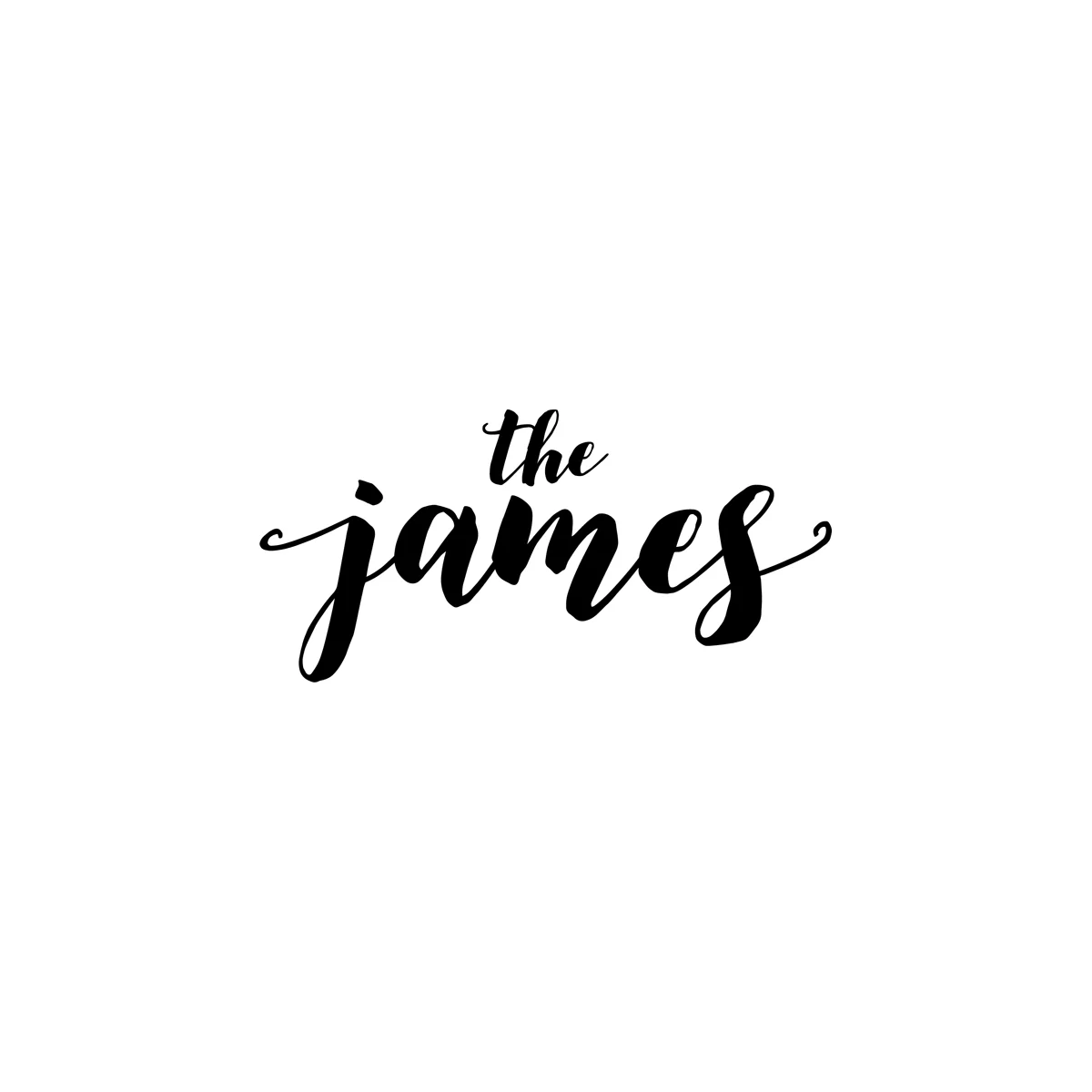 The James Salon and Boutique Grand Rapids