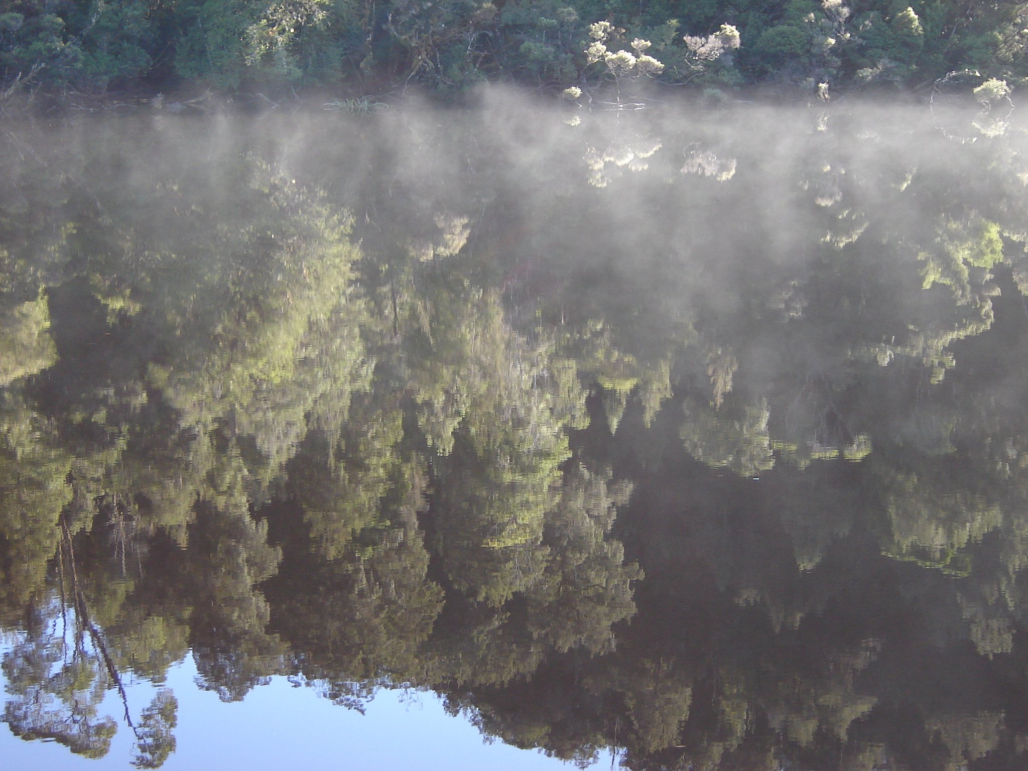 A1905LowerReflectionOnGordonRiver,TAS-Aug.7,2006.JPG