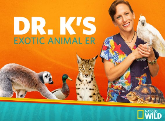 dr.-ks-exotic-animal-er.jpg