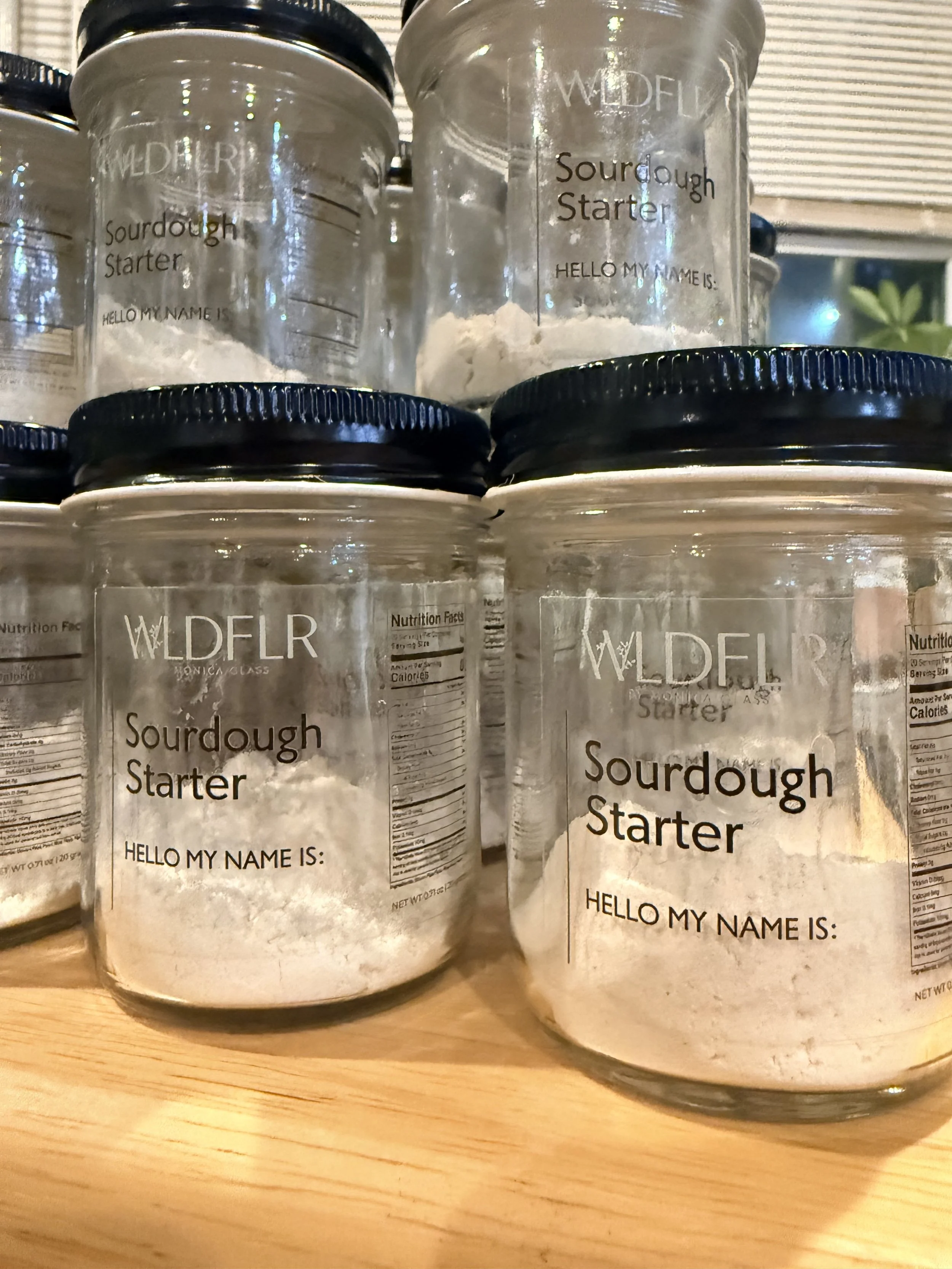 Sourdough Starter.jpg