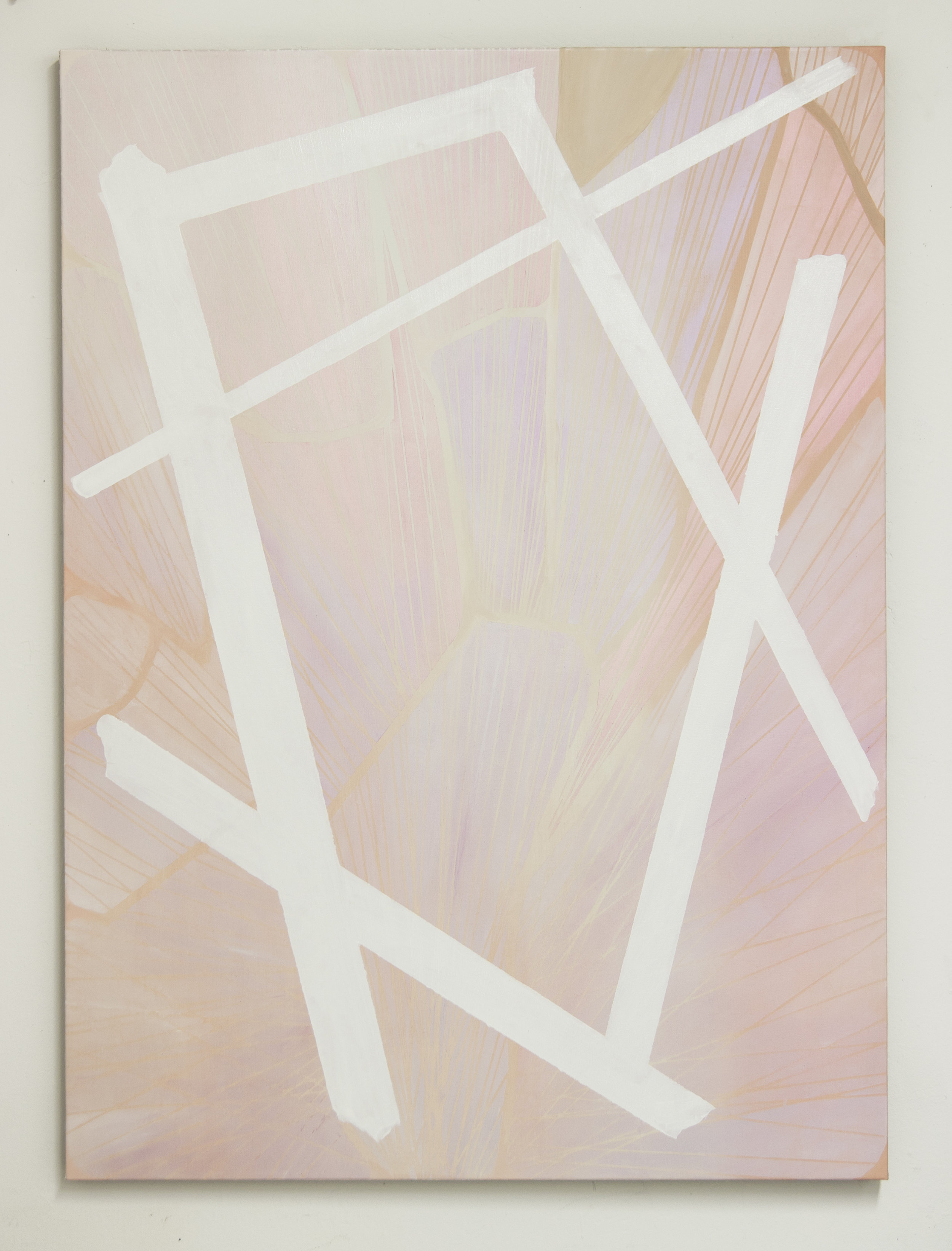 Pink Tectonics, 2012