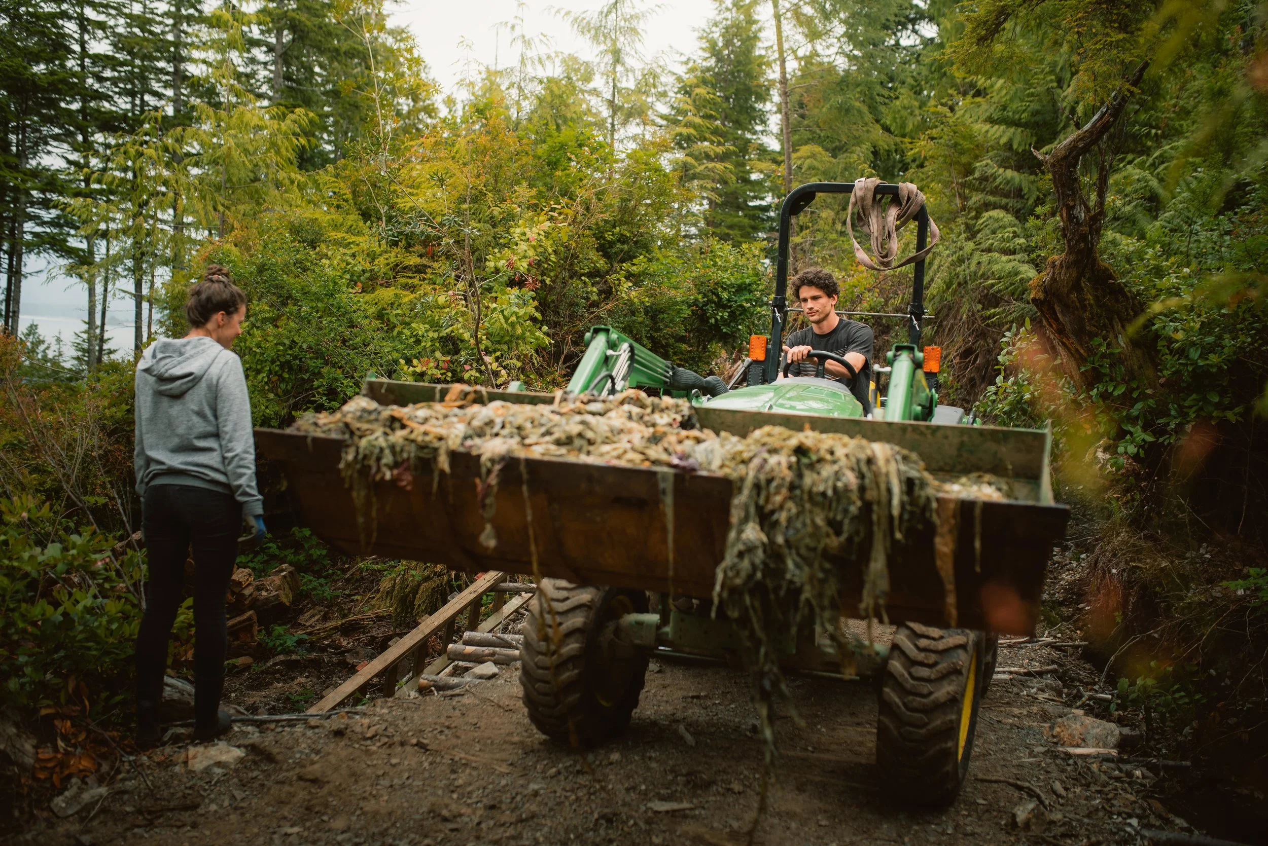 permaculture ian harland (42 of 73).jpg