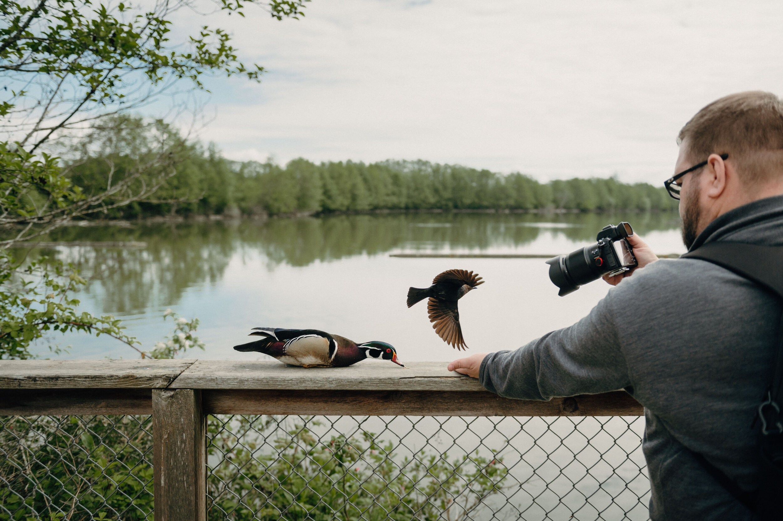 wildlife photography lesson in vancouver