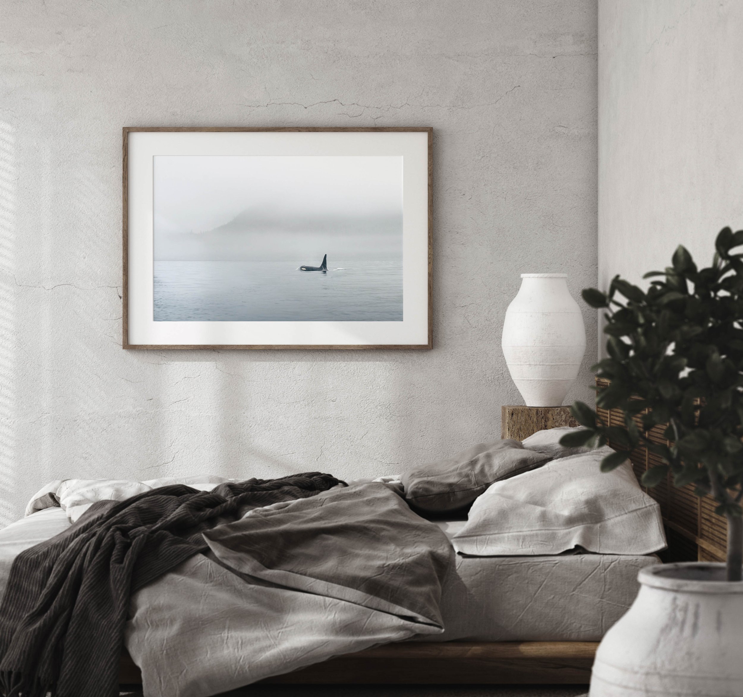 Print of an orca swimming in the fog over a bed - A captivating print capturing an orca swimming in the fog, displayed above a bed