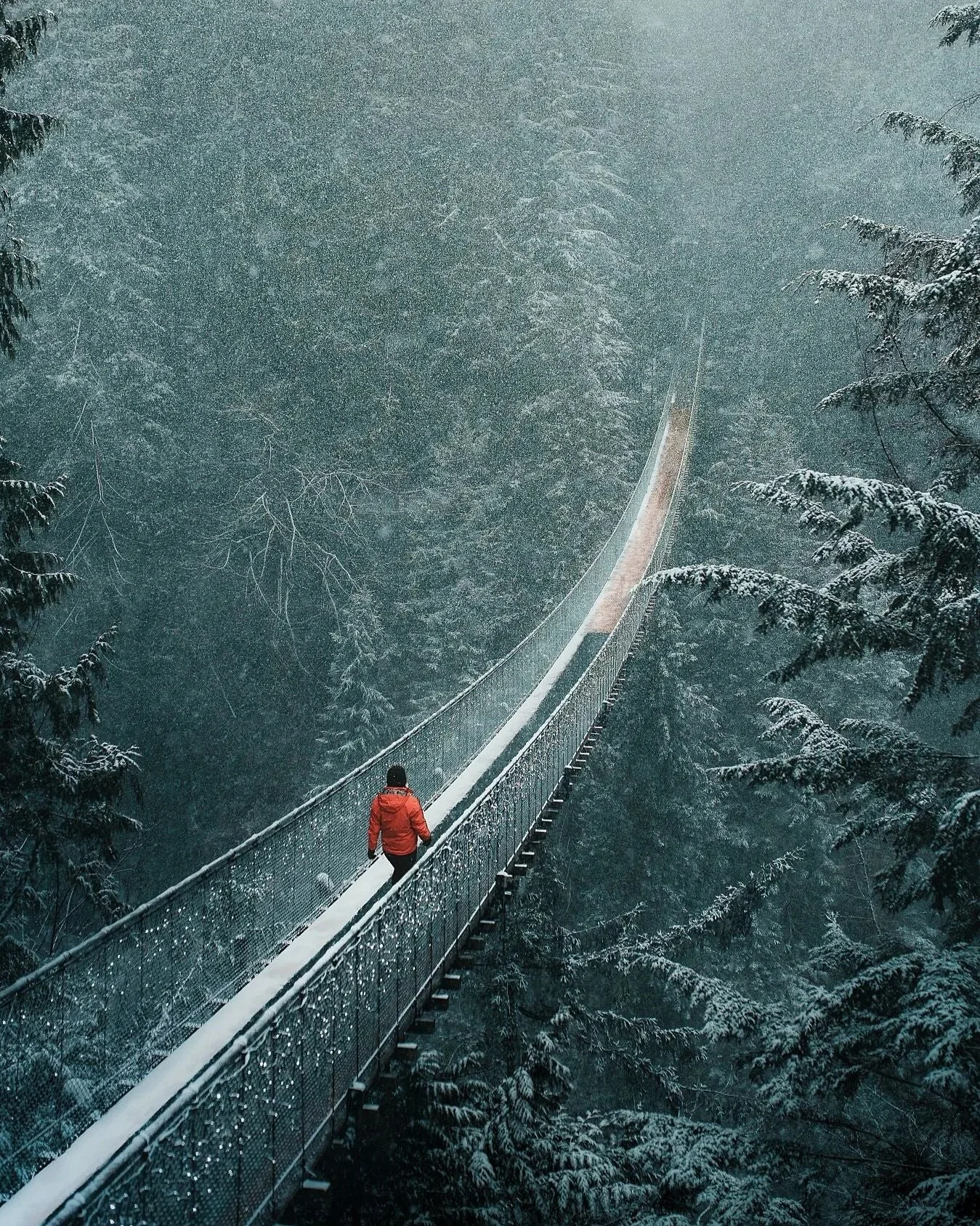 A person wearing a red jacket walking on a the narrow capilano suspension bridge covered in snow, surrounded by snow-covered trees in a dense forest with a foggy atmosphere.